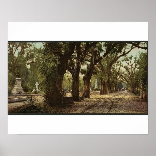 Bonaventure Cemetery, Savannah, Georgia circa 1901 ポスター (正面)