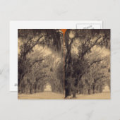 Bonaventure Cemetory、Savannah、Ga C.1887 ポストカード (正面/裏面)