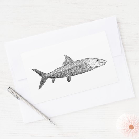 Bonefishロゴ 長方形シール (封筒)