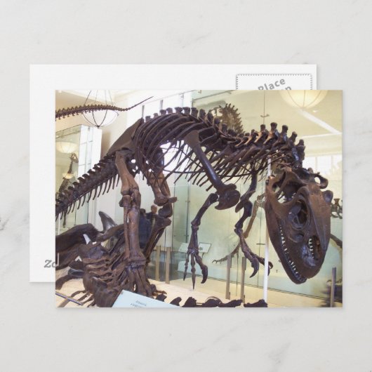 Bones ポストカード (正面/裏面)