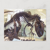 Bones ポストカード (正面)