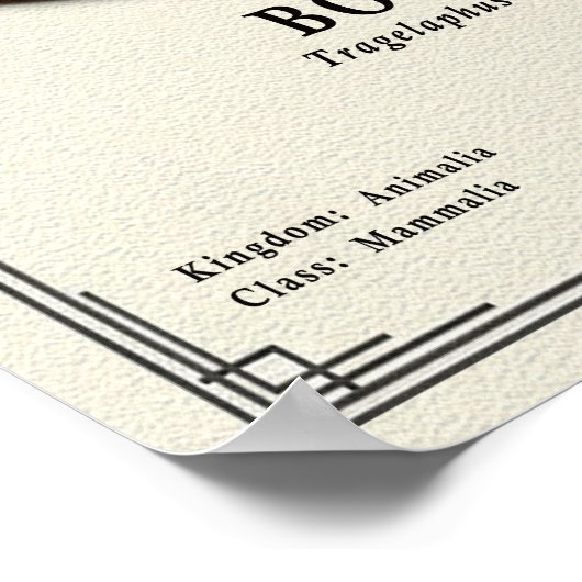 Bongo Zoology Series ポスター (角)