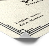 Bongo Zoology Series ポスター (角)