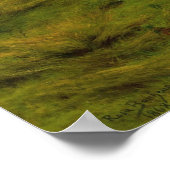 Bonheur – パックの（昆虫）オオカバマダラ、モナーク ポスター (角)