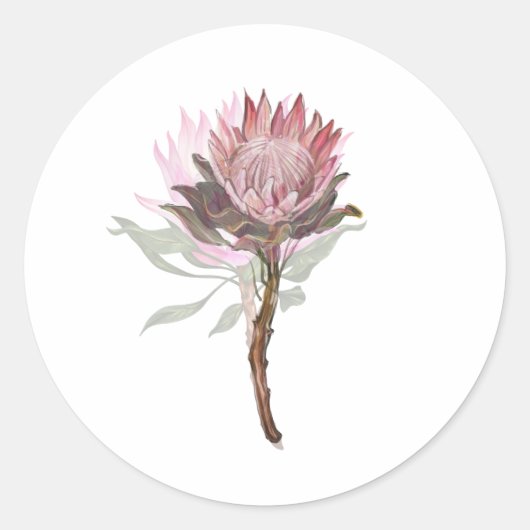 bonita flor protea ラウンドシール (正面)