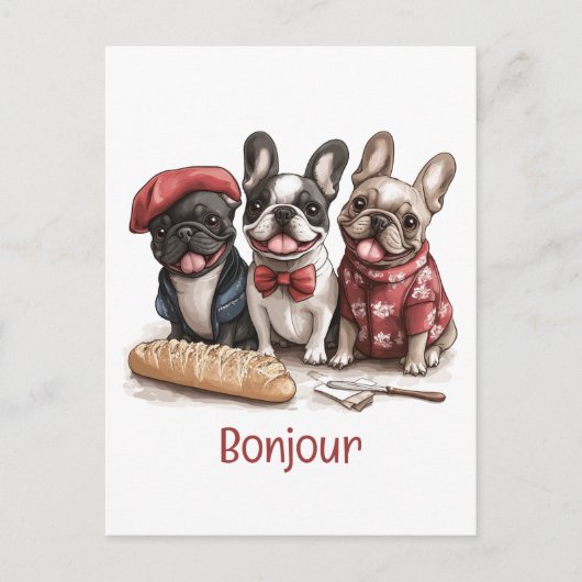 Bonjour French Bulldogs ポストカード (正面)