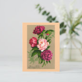 "Bonne祝日"のヴィンテージのフランス人のクリスマス シーズンポストカード (スタンド正面)