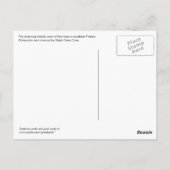 Bonnieuxポストカード ポストカード (裏面)