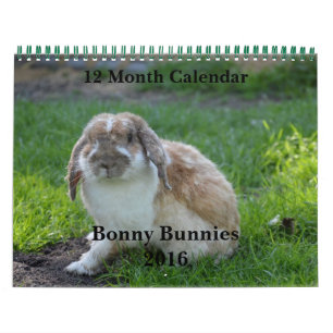 Bonny Bunnies 12か月カレンダー2016 カレンダー