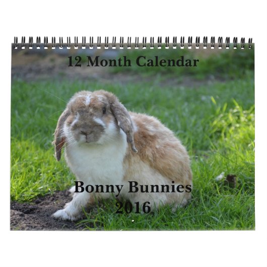 Bonny Bunnies 12月カレンダー2016 カレンダー (カバー)
