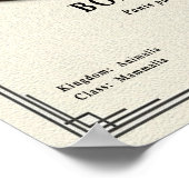 Bonobo Zoology Series ポスター (角)