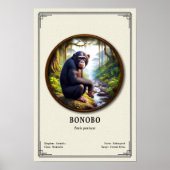 Bonobo Zoology Series ポスター (正面)