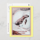 "Bonzo the Dog" in "End of Day" ポストカード (正面/裏面)