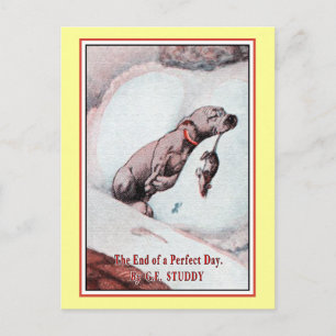 "Bonzo the Dog" in "End of Day" ポストカード