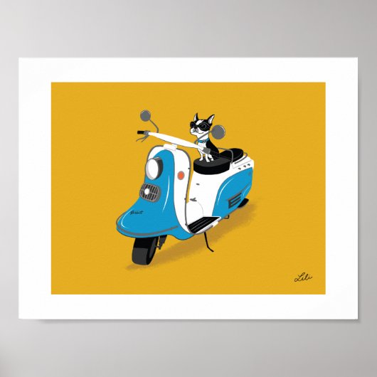 Boogie on Fuji Rabbit ポスター (正面)