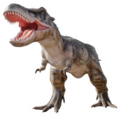 BOOK世界恐竜のジャングル ラウンドシール