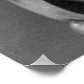 Booker T.ワシントン1903 ポスター (角)