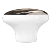 Booker Washington：アフリカ系アメリカ人の教育者 セラミックノブ (側面)