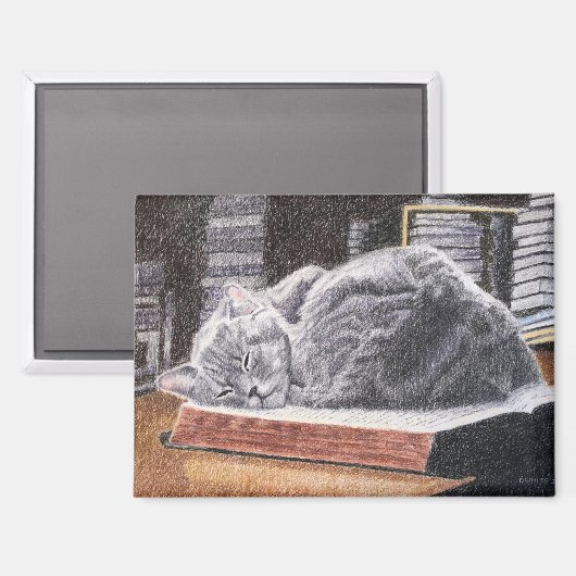 Bookstore Cat マグネット (正面/裏面)