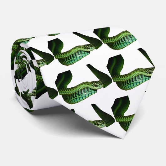 Boomslang ネクタイ (ロール)