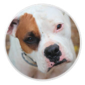 Boop セラミックノブ (正面)