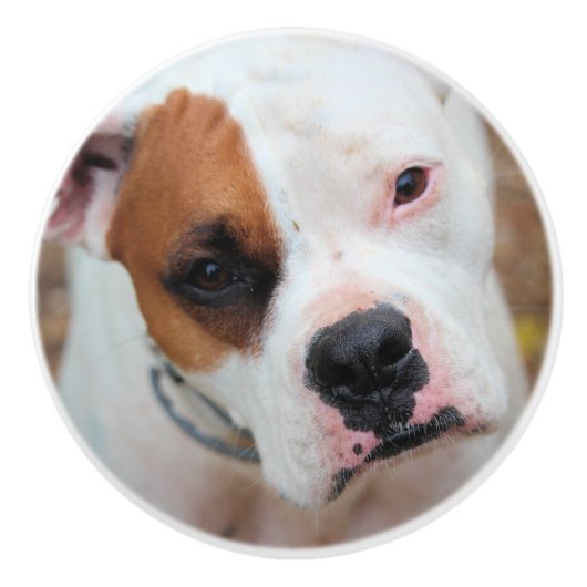 Boop セラミックノブ (正面)