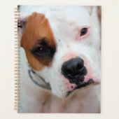 Boop 3リングや輪バインダー プランナー手帳 (正面)