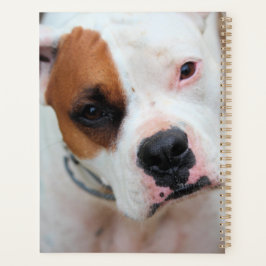 Boop 3リングや輪バインダー プランナー手帳