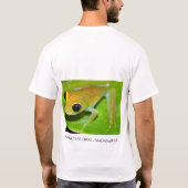 boophisのカエル2 tシャツ (裏面)