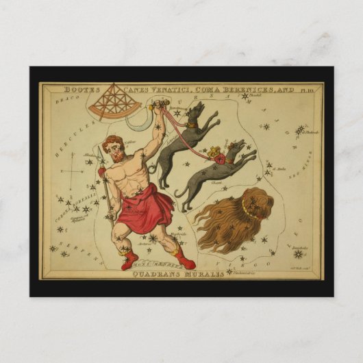 Bootes, Canes Venatici, Coma Berenices, Q. Muralis ポストカード (正面)