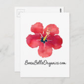 BoozaBelleオーガニック ポストカード (正面/裏面)