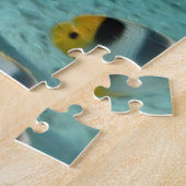 Bora熱帯Boraの礁湖の魚を追跡している鮫 ジグソーパズル (側面)