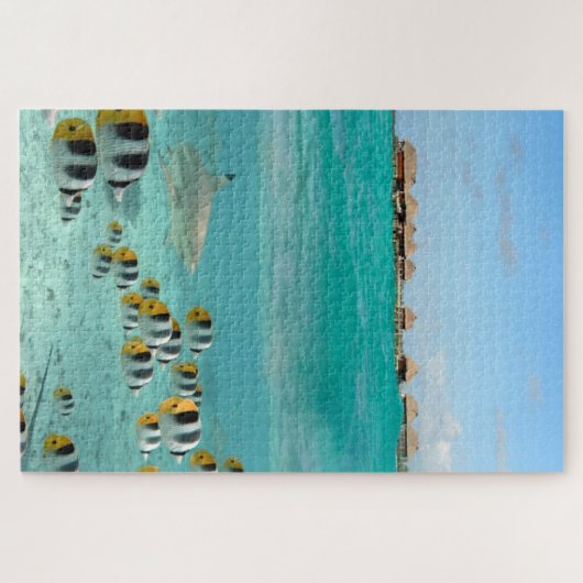 Bora熱帯Boraの礁湖の魚を追跡している鮫 ジグソーパズル (横)