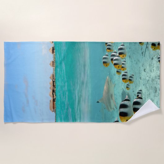 Bora熱帯Boraの礁湖の魚を追跡している鮫 ビーチタオル (正面)