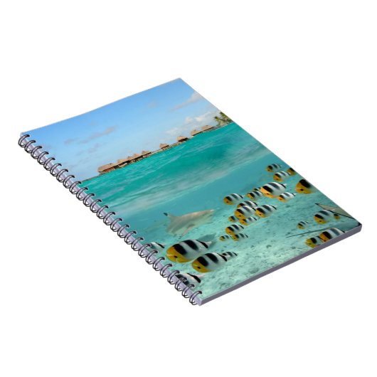 Bora Boraのノートの魚を追跡している鮫 ノートブック (右側)