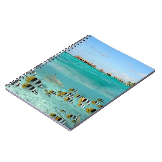 Bora Boraのノートの魚を追跡している鮫 ノートブック (左側)