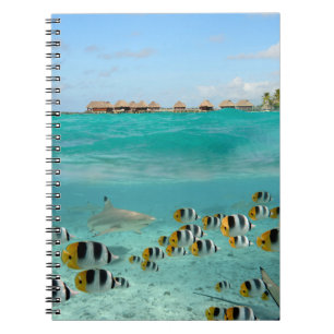 Bora Boraのノートの魚を追跡している鮫 ノートブック