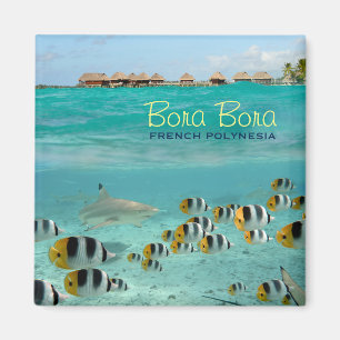 Bora Boraの文字が付いている鮫の正方形の磁石 マグネット