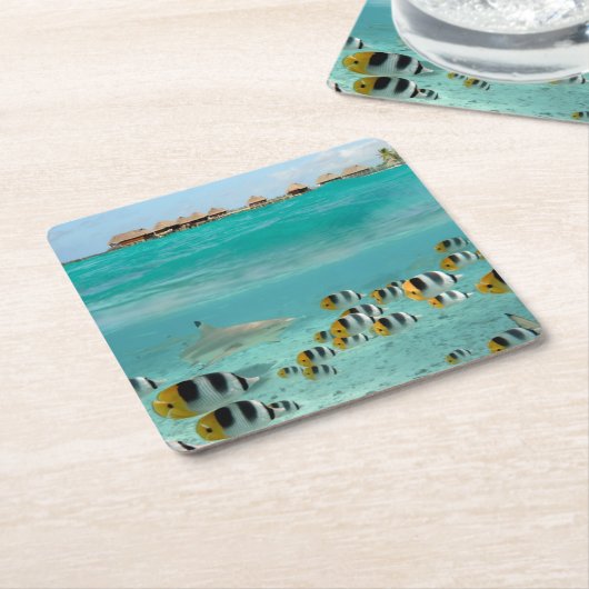 Bora Boraの海のコースターの魚を追跡している鮫 スクエアペーパーコースター (アングル)