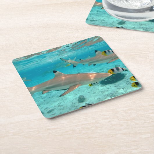 Bora Boraの礁湖のコースターの鮫 スクエアペーパーコースター (アングル)