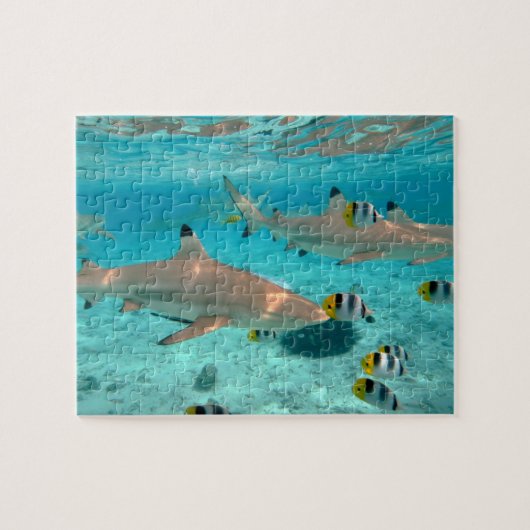 Bora Boraの礁湖のジグソーパズルの鮫 ジグソーパズル (横)