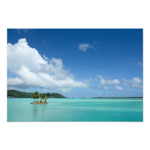 Bora Boraの礁湖の写真のプリントのヤシの木 フォトプリント