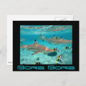 Bora Boraの礁湖の鮫は郵便はがきを黒くします ポストカード (正面/裏面)