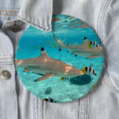 Bora Boraの礁湖の鮫 缶バッジ (インサイチュ)