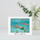 Bora Boraラグーンのサメ白い文字葉書 ポストカード (スタンド正面)