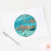 Bora Boraラグーンの周りのステッカーにサメ ラウンドシール (封筒)