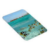 Bora Bora垂直磁石のサメと魚 マグネット (右側)