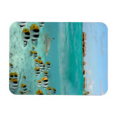 Bora Bora垂直磁石のサメと魚 マグネット (横)