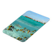 Bora Bora垂直磁石のサメと魚 マグネット (左側)