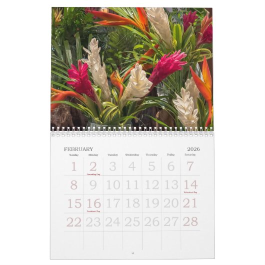 Bora Bora | French Polynesia | Tahitian Calendar カレンダー (2月 2026)